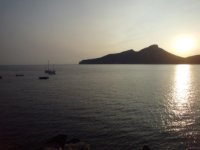 das zu meldende Bild