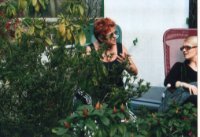 das zu meldende Bild